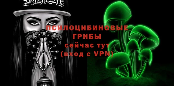 дурь Балахна