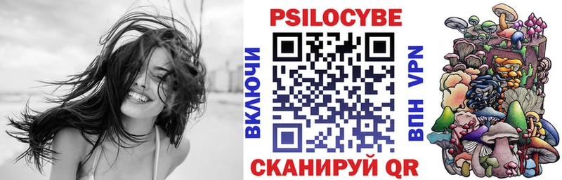 Псилоцибиновые грибы Psilocybine cubensis  Корсаков 