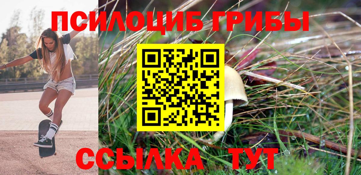 Псилоцибиновые грибы Magic Shrooms Корсаков