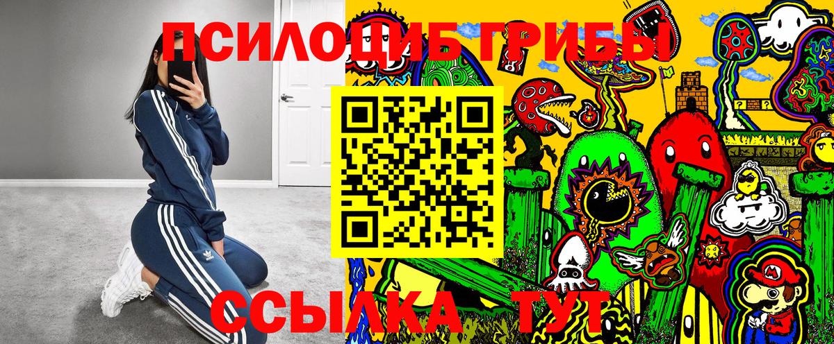 Галлюциногенные грибы Psilocybe  Вход с VPN  сколько стоит  Корсаков  Галлюциногенные грибы Magic Shrooms 