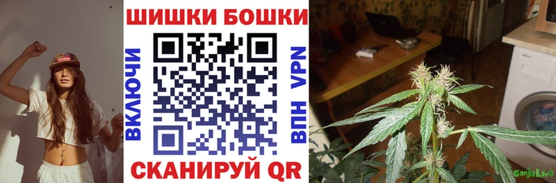 купить наркотики цена  мега как войти  Канабис Amnesia  даркнет какой сайт  Корсаков 